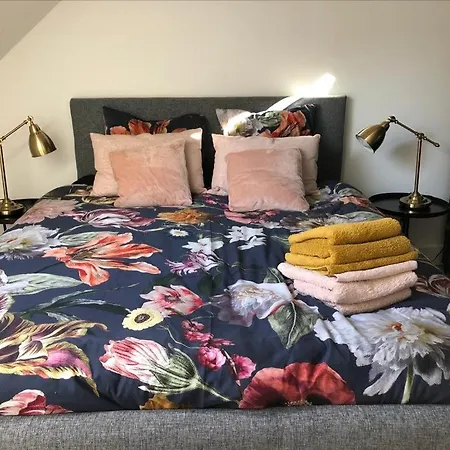 Cosy